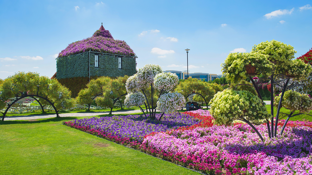 Dubai Miracle Garden: Your Quick Guide