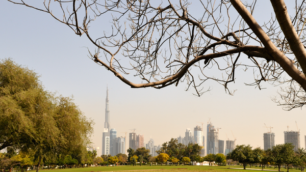 9 of The Most Gorgeous Parks & Gardens In Dubai