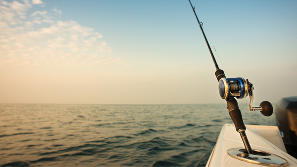 8 of the Best Places to Go Fishing in Abu Dhabi