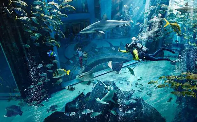 Lost Chambers Aquarium at Atlantis the Palm Jumeirah | Best Hotels on The Palm Dubai