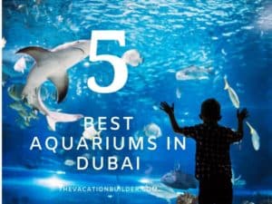 The Best Aquariums in Dubai | The Vacation Builder
