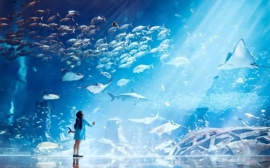 Summer Date Ideas in Dubai | The Lost Chambers Aquarium | The Vacation Builder
