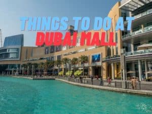 Things to do at Dubai Mall | The Vacation Builder