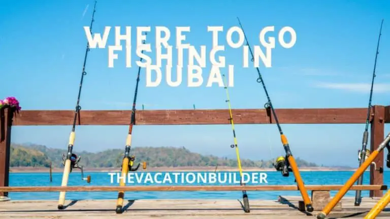 Where to Go Fishing in Dubai, The Vacation Builder