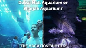 Dubai Mall Aquarium or Sharjah Aquarium?