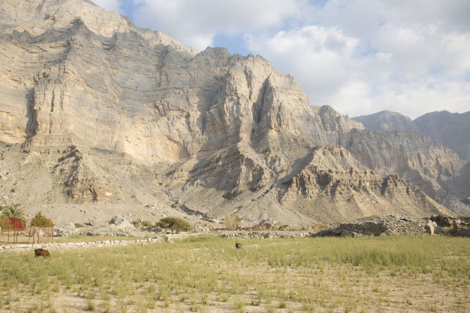 Best Wadis in UAE - Wadi Shaam | The Vacation Builder