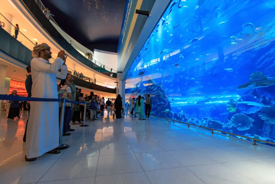 Things to do at Dubai Mall | 2. Aquarium & Underwater Zoo | The Vacation Builder