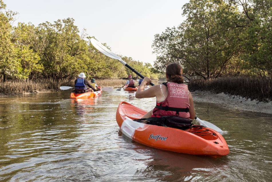 Sharjah or Ajman - Things to Do - Kayaking Through the Mangroves | The Vacation Builder