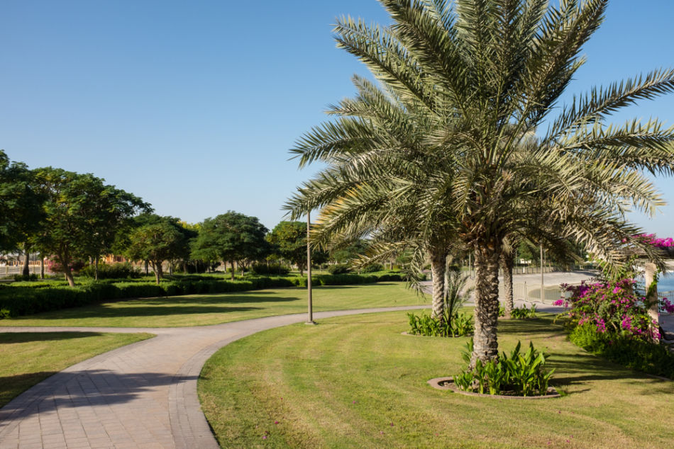 Cycling in Dubai - Where to Cycle in Dubai - Al Barsha Pond Park | The Vacation Builder