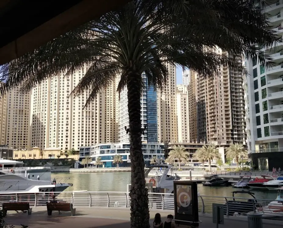 The Best Places in Dubai to Enjoy Breakfast with a View | Bistro Des Arts Dubai Marina | The Vacation Builder