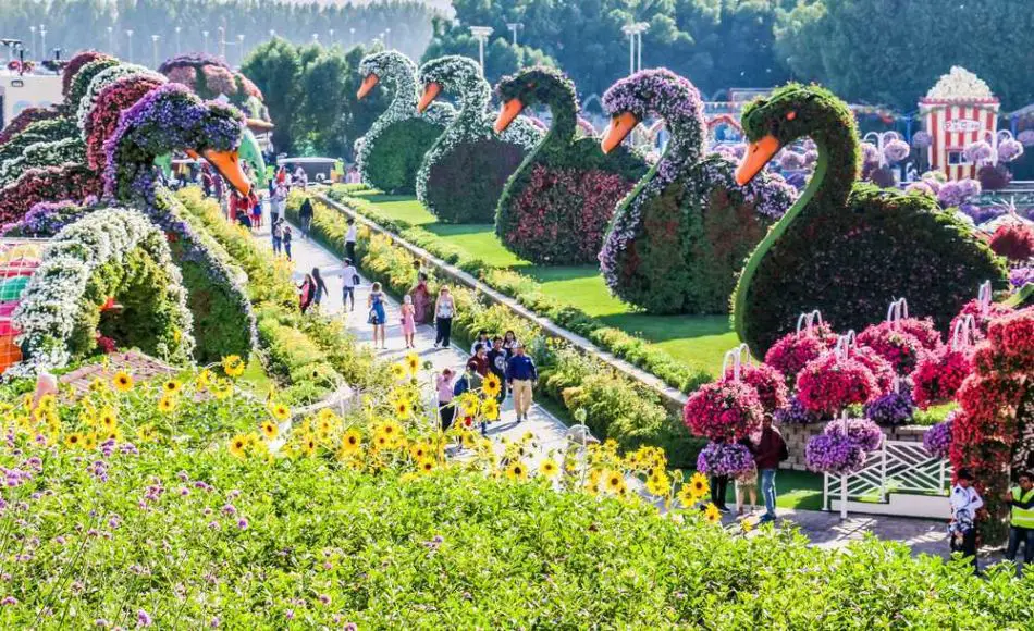 Dubai or LA - Where is Better to Live? | Things to Do & See | Best Things to Do and See in Dubai | Miracle Garden | The Vacation Builder