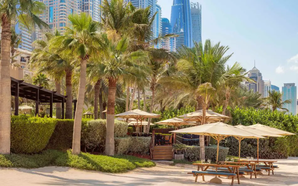 Best Beachfront Restaurants in Dubai To Visit This Summer | The Beach Bar & Grill | The Vacation Builder