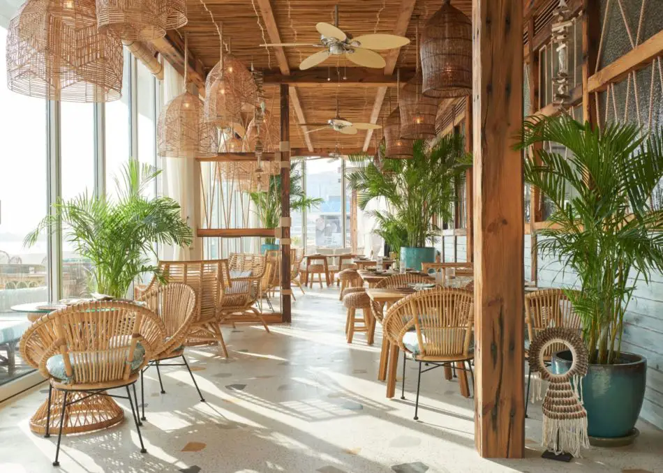 Best Beachfront Restaurants in Dubai To Visit This Summer | Koko Bay | The Vacation Builder