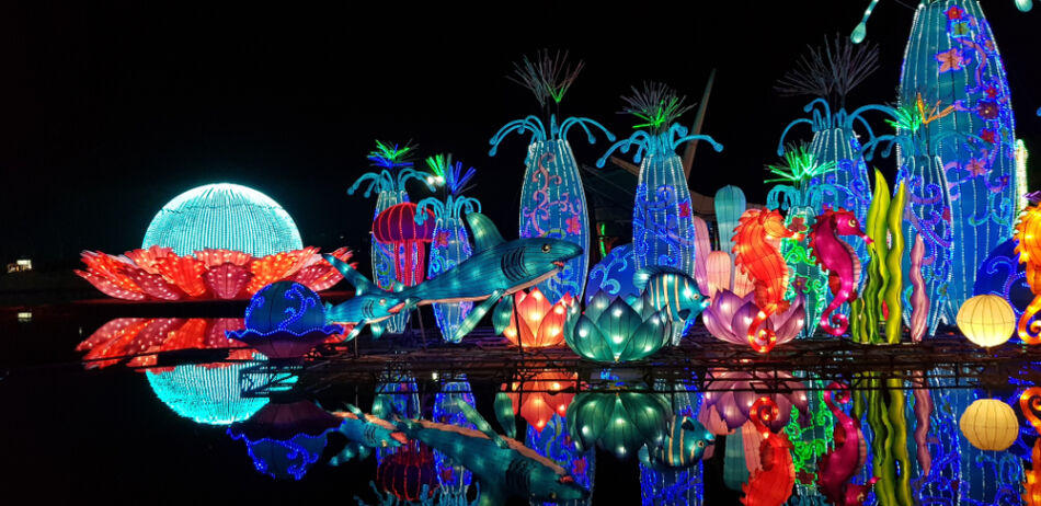 Best 10 Illuminated Places to Visit in Dubai After Dark | Dubai Garden Glow | The Vacation Builder